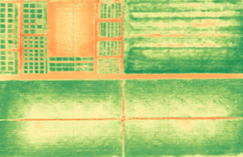 Crop health monitoring for precision agriculture